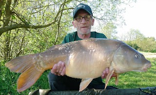 STAGG BAITS