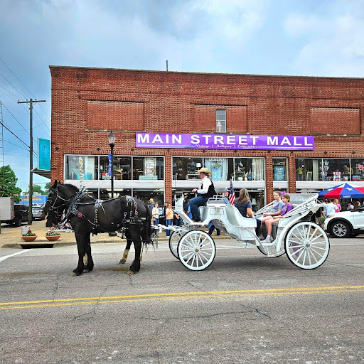 Main Street Mall Denison