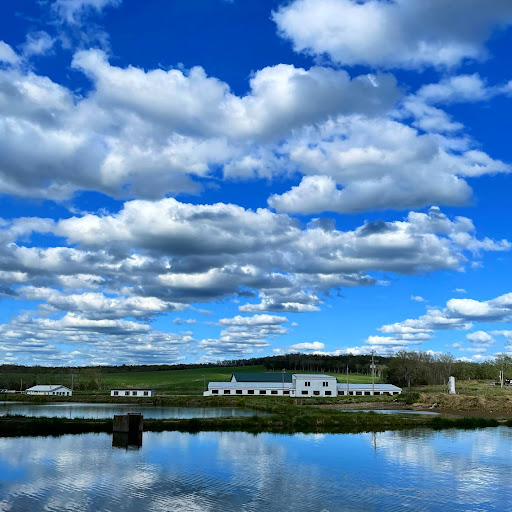 Ozark Fisheries - Thumbnail