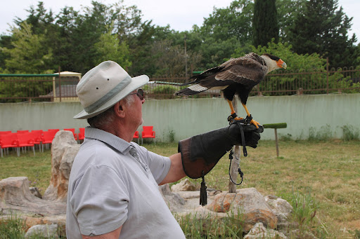 Fauconnerie Les Aigles de la Sainte Baume - Thumbnail