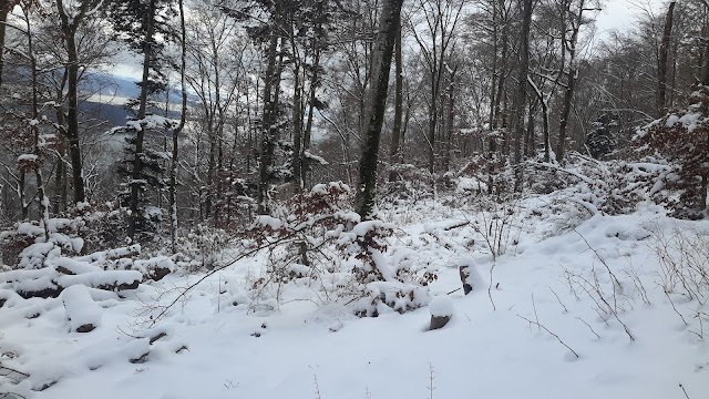 Twannbachschlucht