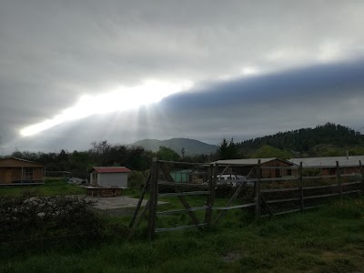 Photos of Queseria Los Antonios