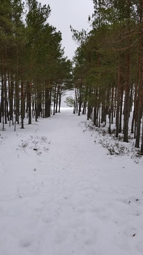 Laulasmaa Beach Villa