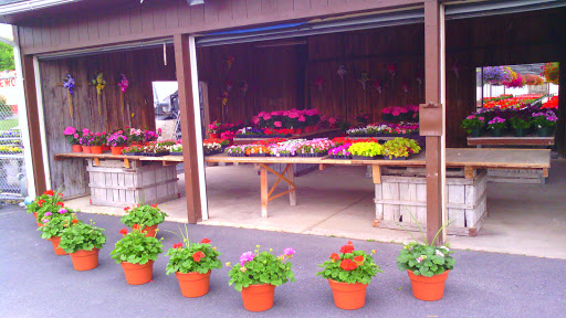 Raubs Florist & Greenhouses