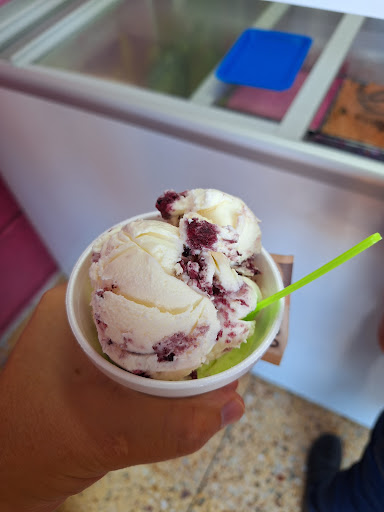 HELADOS ARTESANALES GOURMET