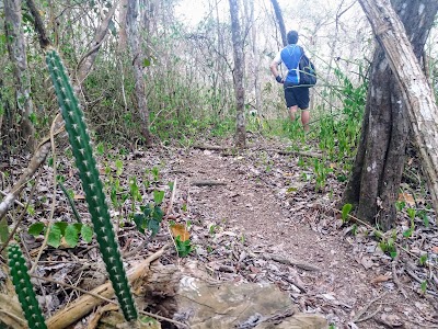 Photos of Reserva Bosque Seco Lalo Loor