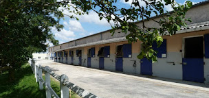 Photo n°3 de Centre équestre de Sourdun à Sourdun (Centre équestre)