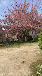 Photo n°8 de Chez Blandine, Vrai Savon de Marseille artisanal, en provenance direct de Marseille à Brissac Loire Aubance (Boutique de cadeaux)