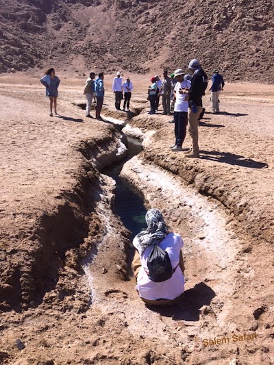 Photos of Seismic Cracks Zone - Ras Mamlah - Ras Abu Galum Protectorate