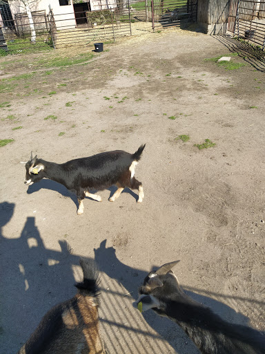 Güterglück Zoo - Thumbnail