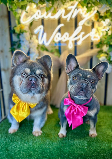 Country Woofs Groom and Spa