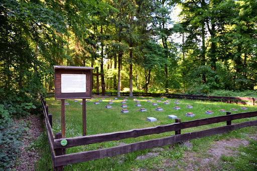 Lazarettfriedhof am Jagdschloss Gelbensande - Thumbnail