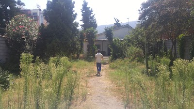 Photos of مجتمع تفریحی اویشن