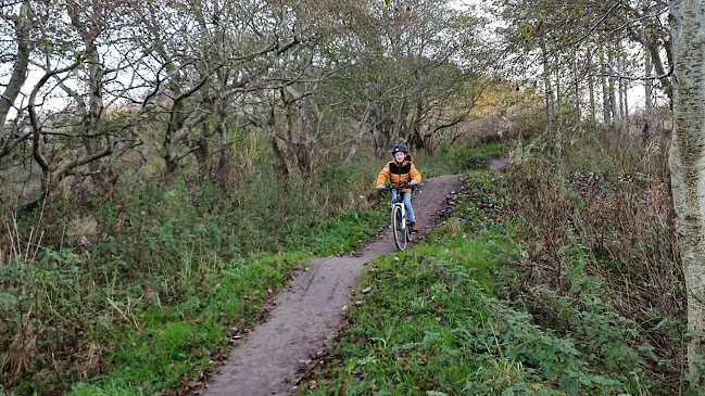 Anmeldelser af Troldhøjsporet SingleTrackMTB i Aalborg - Cykelbutik