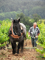 Photo n°7 de Sellerie Courtois à L'Isle-sur-le-Doubs (Sellerie-bourrellerie)