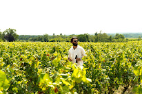 MSWines à Mont-près-Chambord