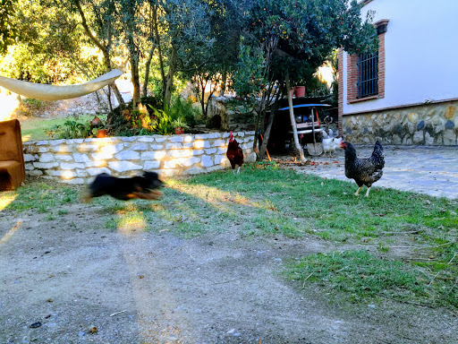 Casa Venera - Thumbnail