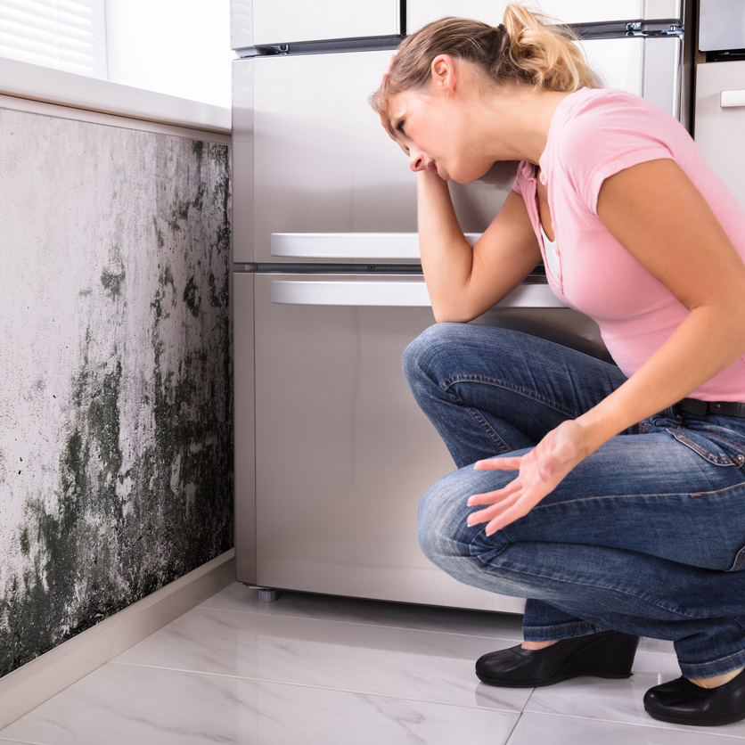 Maui Mold Removal photo