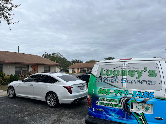 Looneys Wash Services