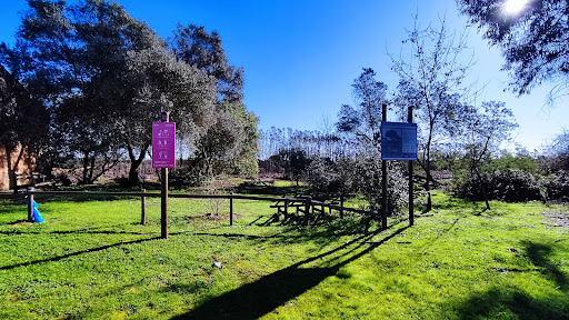 Vía Verde de los Molinos del Agua - Thumbnail