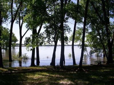 Shady Bay Campground