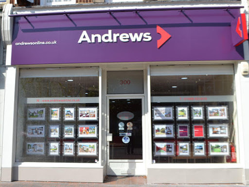 Andrews Orpington - Thumbnail