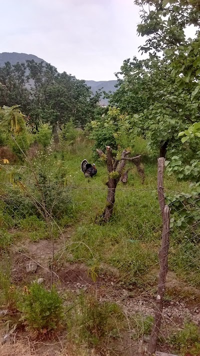 Photos of Caroline's caba&ntilde;as