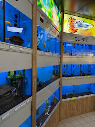 Photo n°1 de E.Leclerc Animalerie à Saint-Pierre-lès-Elbeuf (Animalerie)