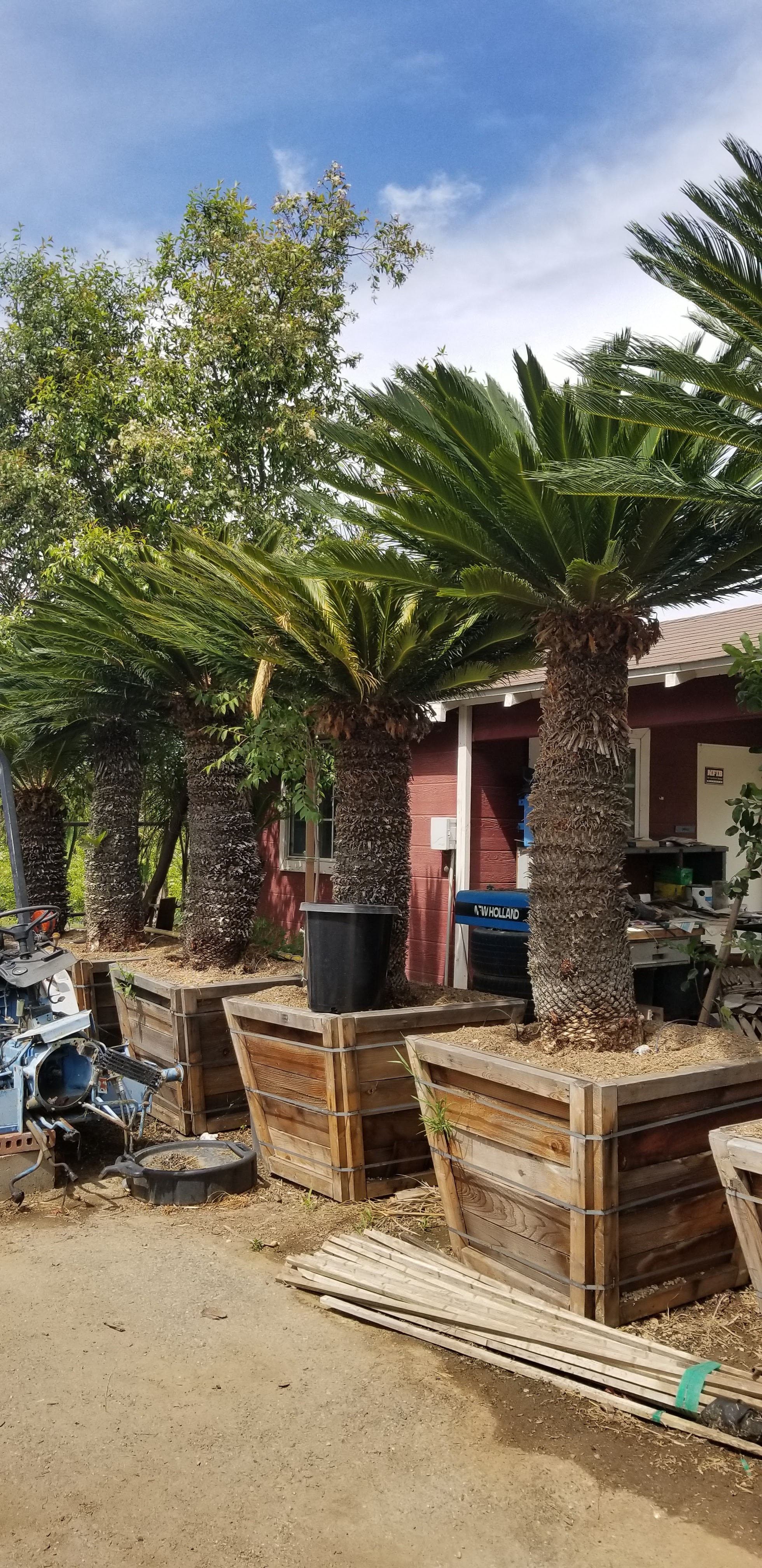 Padilla Nursery