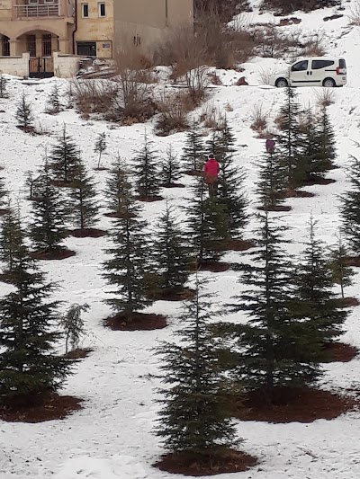 Photos of Nar&ccedil;i&ccedil;eği Parkı