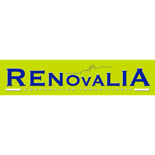 Renovalia - Visual
