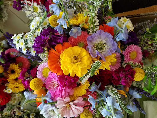 Amelia Florist Wine and Gift Shop - Thumbnail