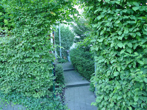 site_photo2