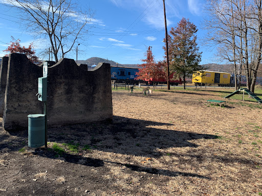 Port Jervis Dog Yard