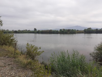 Parco dei Laghetti di Falchera