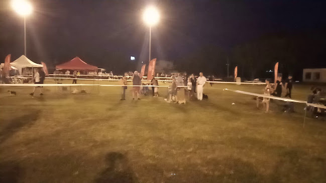 Kossuth Laktanya Sportpálya
