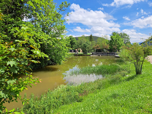 Dorfweiher Ermengerst