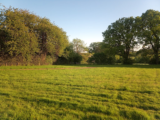 Burstye Soays C L Gallery - United Kingdom