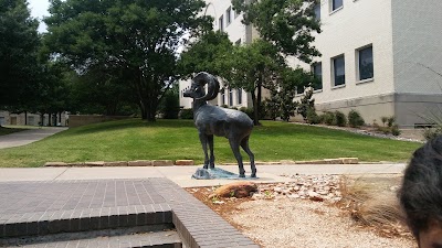 Photos of Texas Wesleyan University
