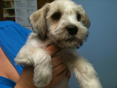 Photos of Parkway Animal Hospital