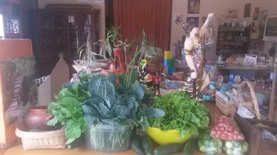 Photos of Ecuravita