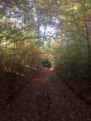 Spessartbogen - Visual
