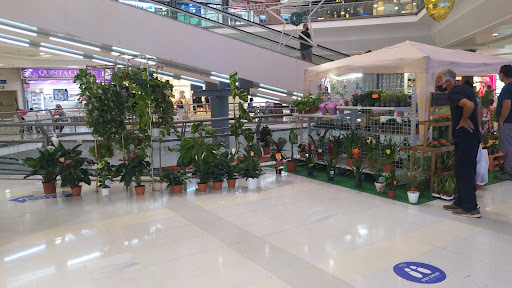 Tu Planta Barata