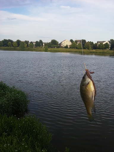 Wheatlands Park - Thumbnail
