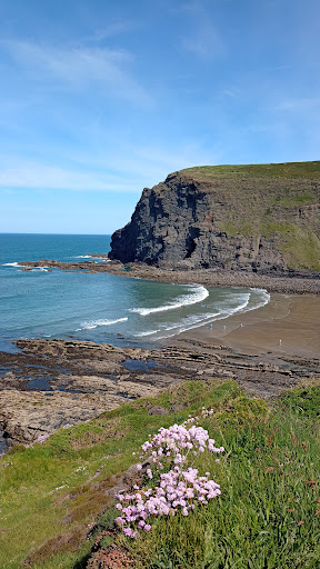 Crackington Beach - Visual