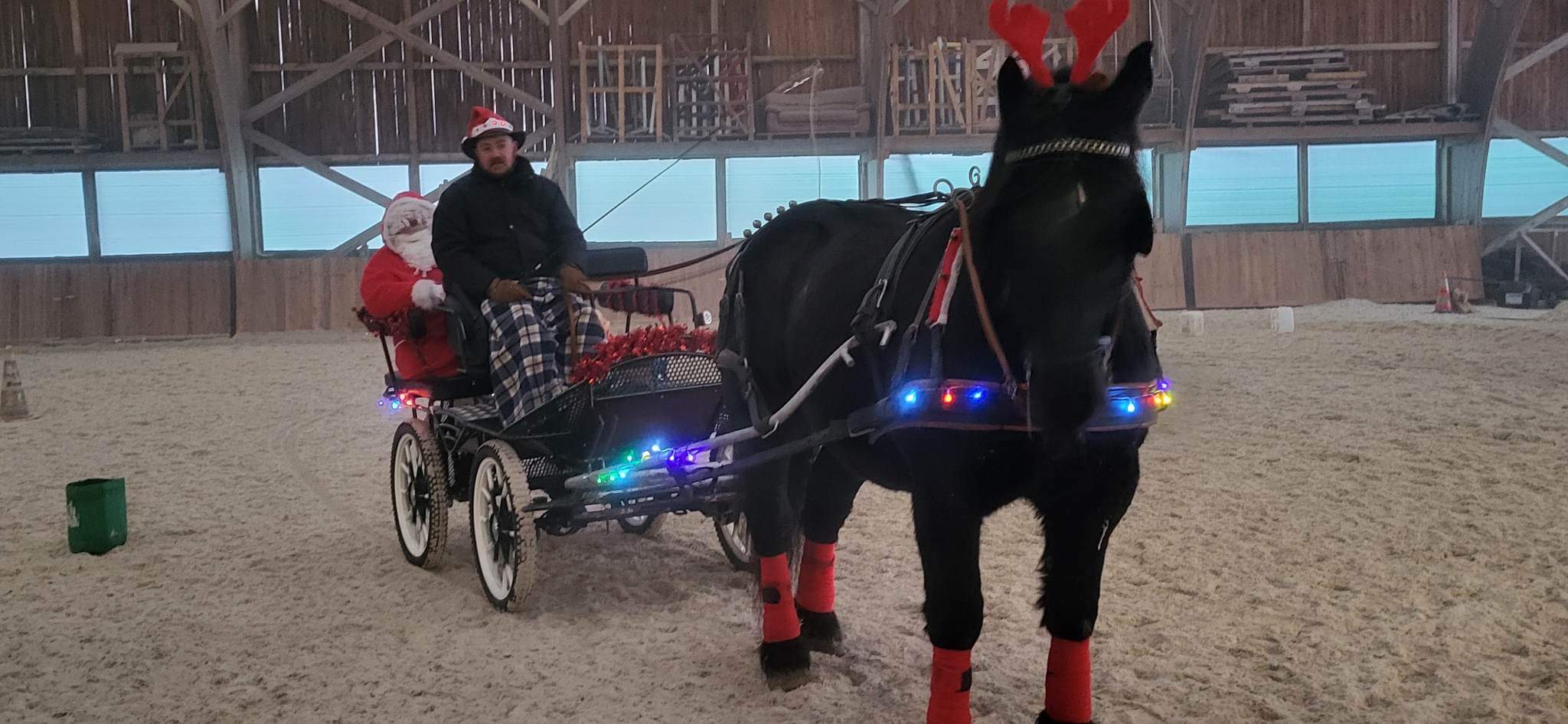 Ecuries des Collines à Doissin - Centre équestre