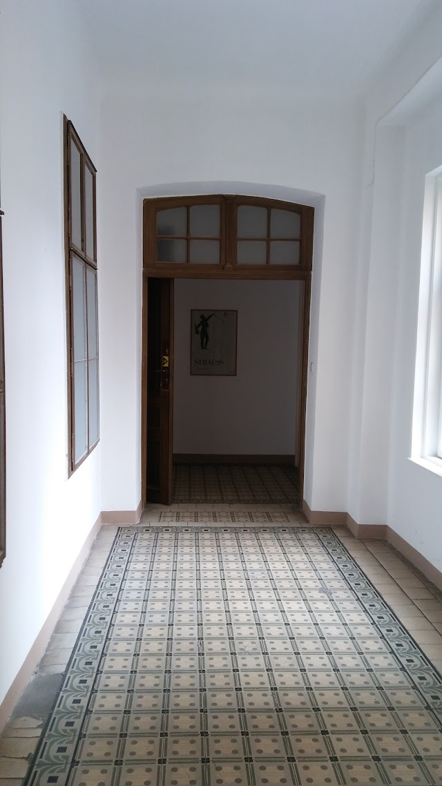 Wien Museum Johann Strauß Apartment