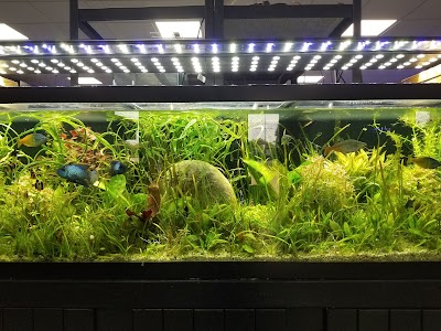 Aquarium Central