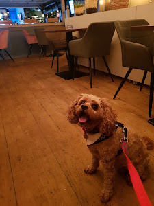 The Prospect Italian Bistro photo