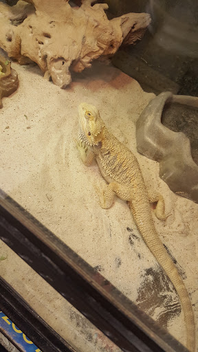 Suncoast Pets - Visual